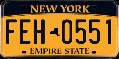 NY license plate FEH0551