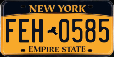 NY license plate FEH0585