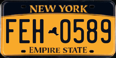 NY license plate FEH0589