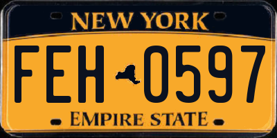 NY license plate FEH0597