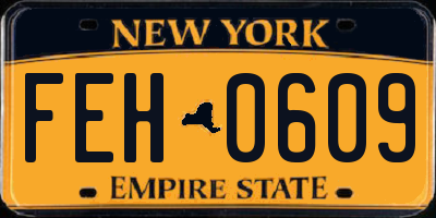 NY license plate FEH0609