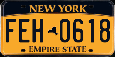NY license plate FEH0618