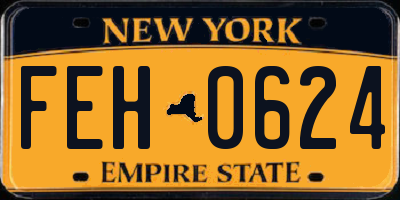 NY license plate FEH0624