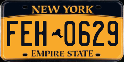 NY license plate FEH0629