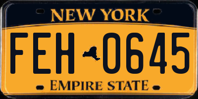NY license plate FEH0645