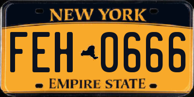 NY license plate FEH0666
