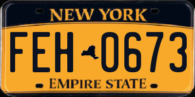 NY license plate FEH0673