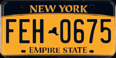 NY license plate FEH0675