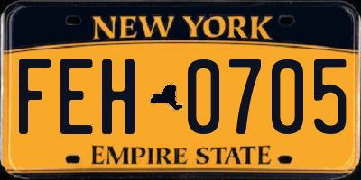 NY license plate FEH0705
