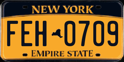 NY license plate FEH0709