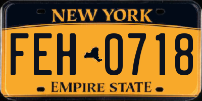 NY license plate FEH0718