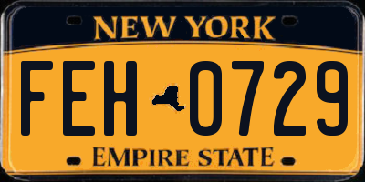 NY license plate FEH0729