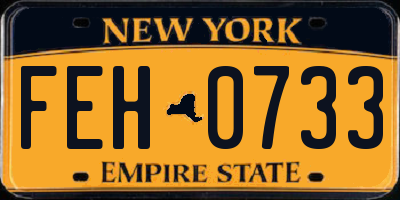 NY license plate FEH0733