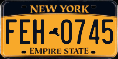 NY license plate FEH0745