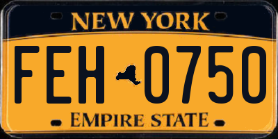 NY license plate FEH0750