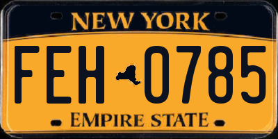 NY license plate FEH0785