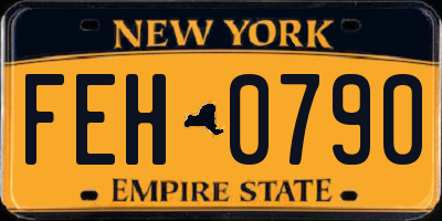 NY license plate FEH0790