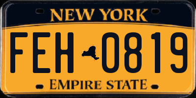 NY license plate FEH0819