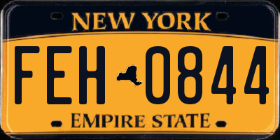 NY license plate FEH0844