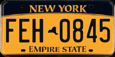 NY license plate FEH0845
