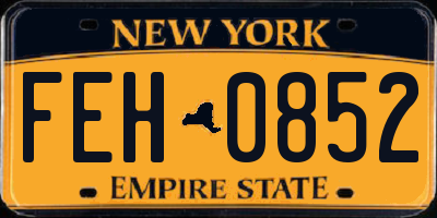 NY license plate FEH0852