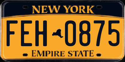 NY license plate FEH0875