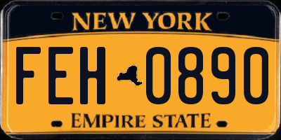 NY license plate FEH0890