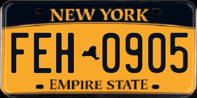 NY license plate FEH0905