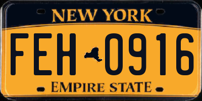 NY license plate FEH0916