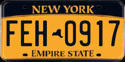 NY license plate FEH0917