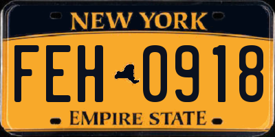 NY license plate FEH0918