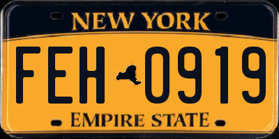 NY license plate FEH0919