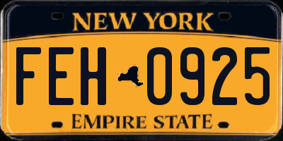 NY license plate FEH0925