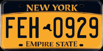 NY license plate FEH0929