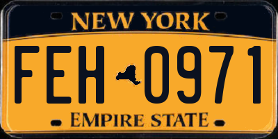 NY license plate FEH0971