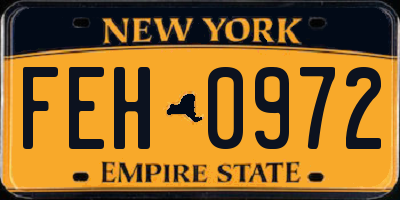 NY license plate FEH0972