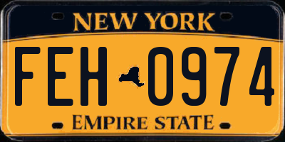 NY license plate FEH0974