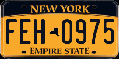 NY license plate FEH0975
