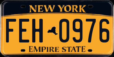 NY license plate FEH0976
