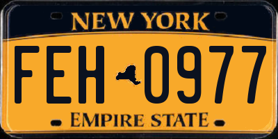 NY license plate FEH0977
