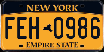 NY license plate FEH0986