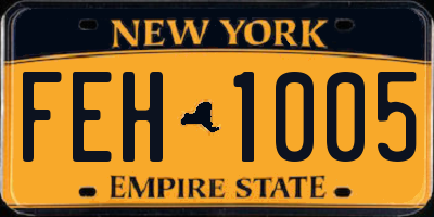 NY license plate FEH1005