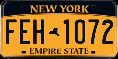 NY license plate FEH1072