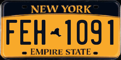 NY license plate FEH1091