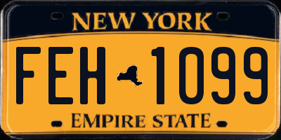 NY license plate FEH1099