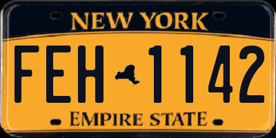 NY license plate FEH1142