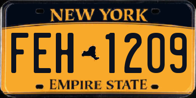 NY license plate FEH1209