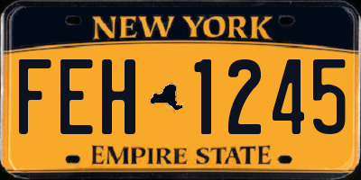 NY license plate FEH1245