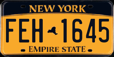 NY license plate FEH1645