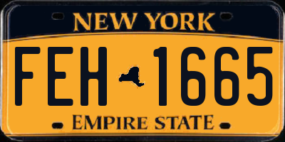 NY license plate FEH1665